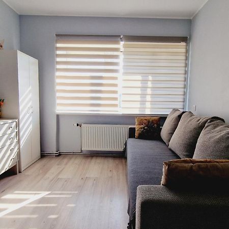 Sp Apartment Klaipedas Street Close To Beach 利耶帕亚 外观 照片