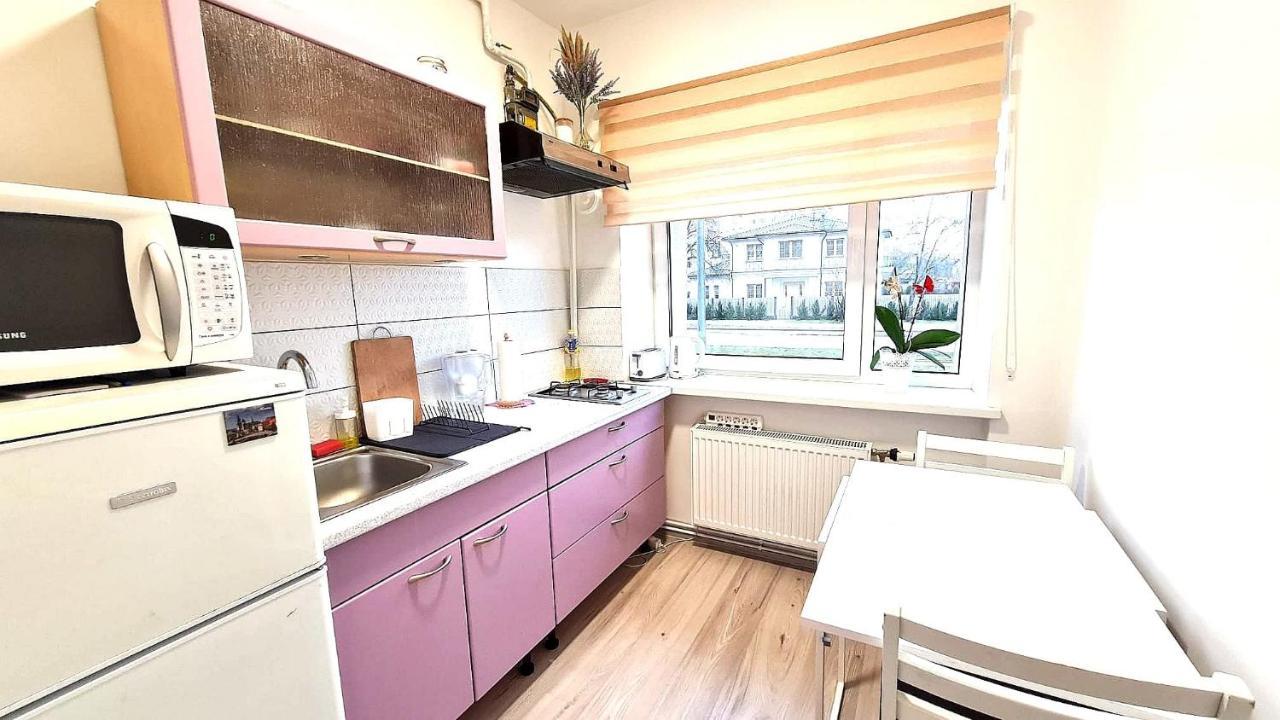 Sp Apartment Klaipedas Street Close To Beach 利耶帕亚 外观 照片
